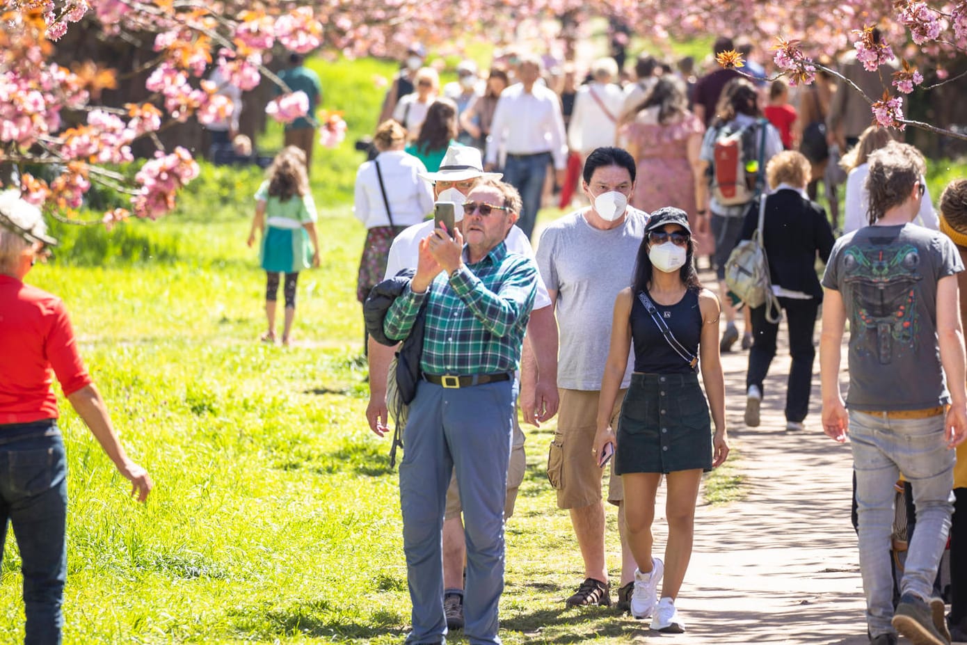 Kirschblütenallee in Teltow an der Berliner Stadtgrenze: Die entspanntere Coronalage sorgt für bessere Stimmung im Land.