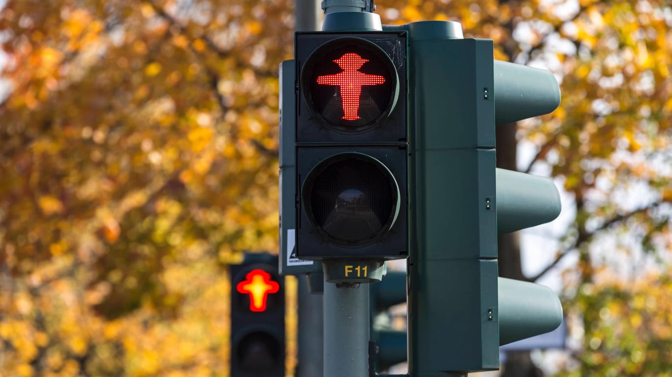 Eine Fußgängerampel zeigt Rot (Symbolbild): Der Mann hatte das Lichtsignal ignoriert.