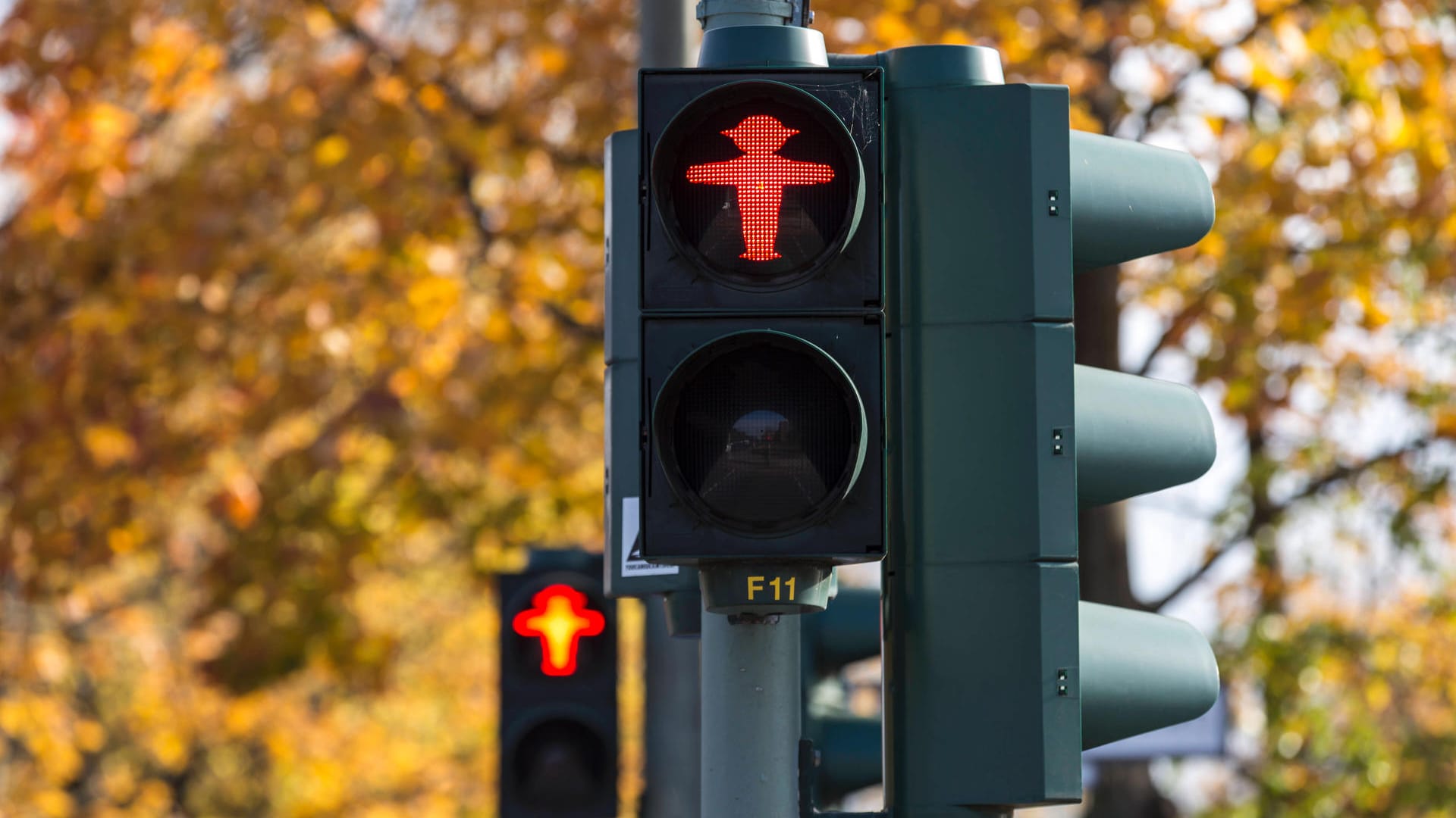 Eine Fußgängerampel zeigt Rot (Symbolbild): Der Mann hatte das Lichtsignal ignoriert. Eine Fußgängerampel zeigt Rot (Symbolbild): Der Mann hatte das Lichtsignal ignoriert.