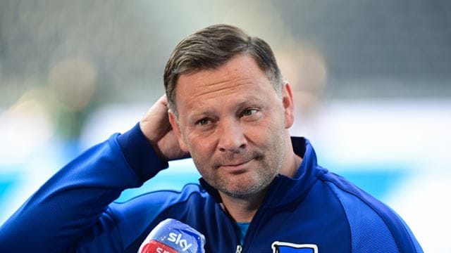 Muss im Saisonendspurt auf Stürmer Jhon Cordoba verzichten: Hertha-Coach Pal Dardai. Muss im Saisonendspurt auf Stürmer Jhon Cordoba verzichten: Hertha-Coach Pal Dardai.