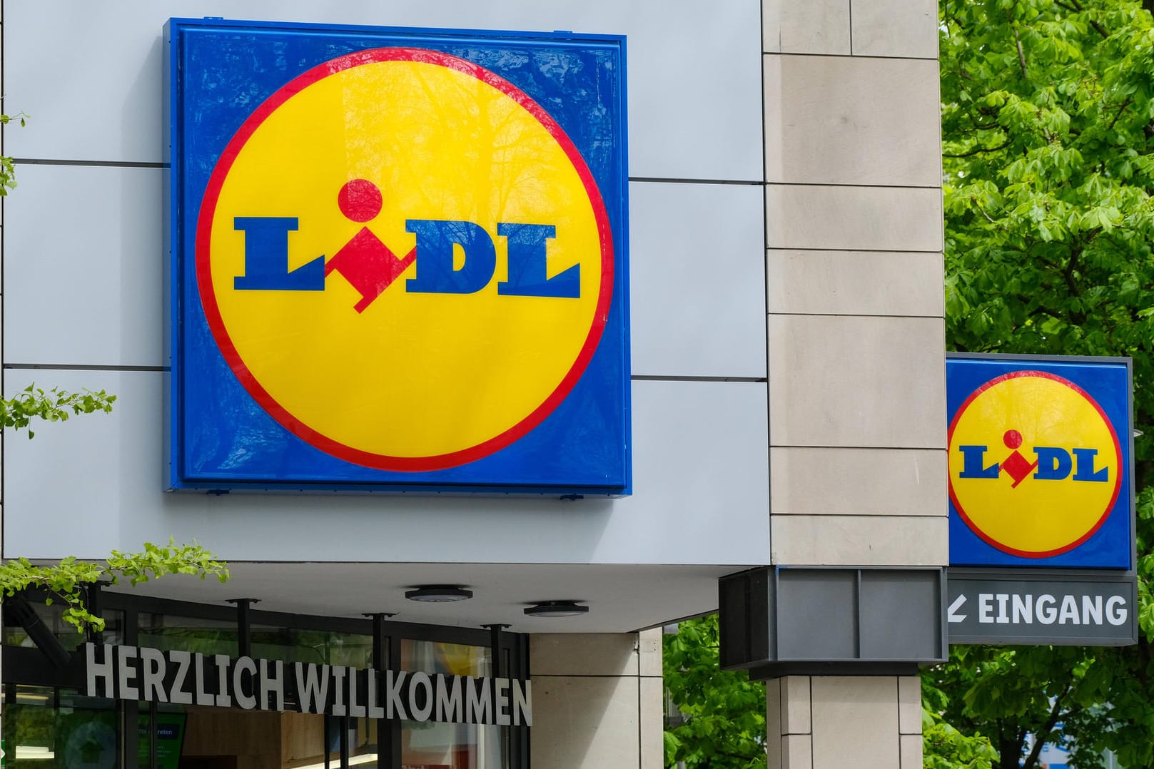 Lidl: Ein Fischprodukt soll nur noch aus nachhaltiger Fischerei stammen.