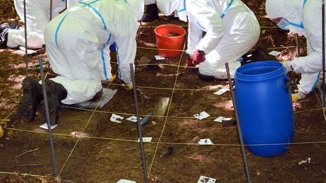 Beamte der Spurensicherung der Kriminalpolizei Ingolstadt suchen in einem Waldstück nach Knochen eines seit 2002 vermissten jungen Paares. Beamte der Spurensicherung der Kriminalpolizei Ingolstadt suchen in einem Waldstück nach Knochen eines seit 2002 vermissten jungen Paares.