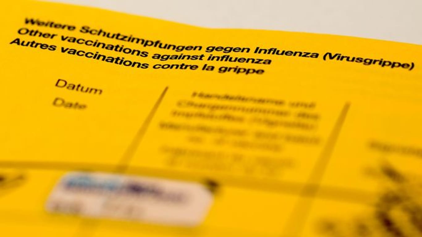 Ein Impfbuch mit den Feldern für die Impfung gegen Influenza (Virusgrippe).