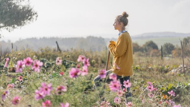 Statt Rasen: Eine Blumenwiese lockt Insekten und Vögel an und ist weniger aufwendig zu pflegen.