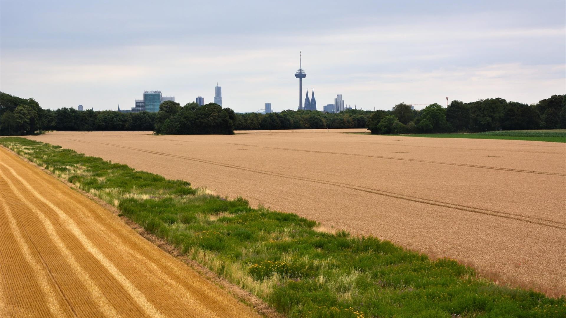 Der Blick von der Aussichtsplattform im Landschaftspark Belvedere ist einzigartig.