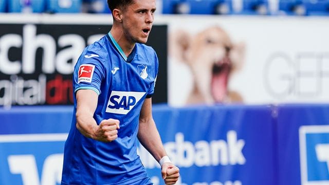 Für Hoffenheims Christoph Baumgartner ist die Saison vorzeitig beendet. Für Hoffenheims Christoph Baumgartner ist die Saison vorzeitig beendet.
