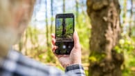 Apps: Die Natur entdecken mit dem Smartphone