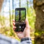 Apps: Die Natur entdecken mit dem Smartphone