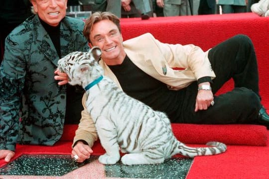 Siegfried Fischbacher (l) und Roy, Uwe Ludwig Horn, 1994 mit einem weißen Tigerbaby auf ihrem Stern auf dem Hollywood Walk of Fame.