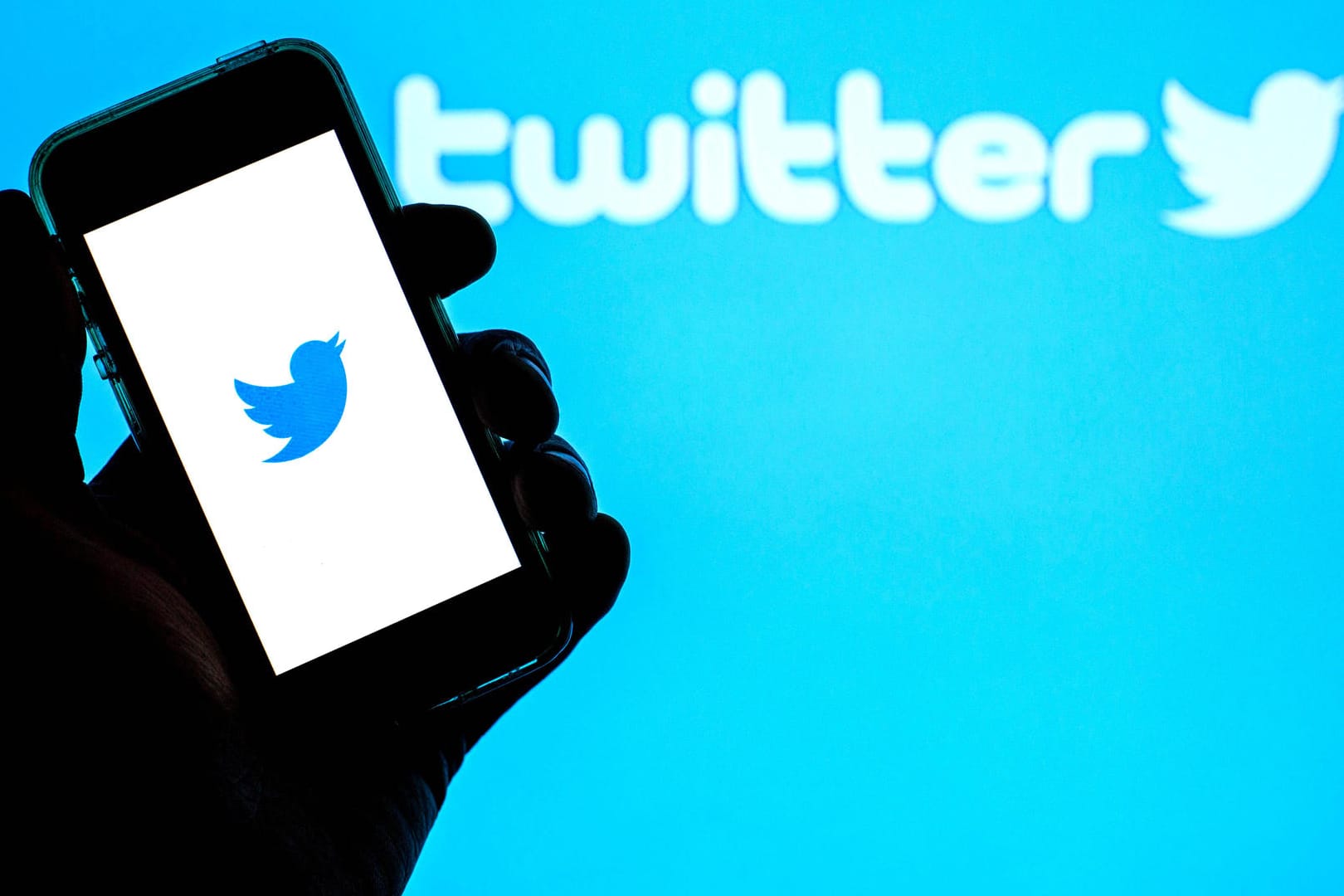Twitter-Logo auf einem Smartphone: Der Kurznachrichtendienst soll an einem Abomodell arbeiten