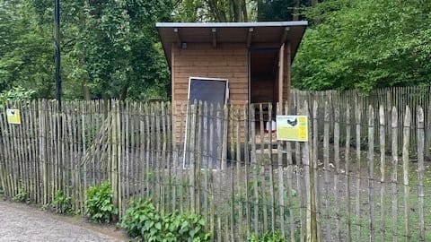 Hühnerhaus des Streichelhofs: Bislang unbekannte Täter verschafften sich Zugang und töteten dort mehrere Tiere.