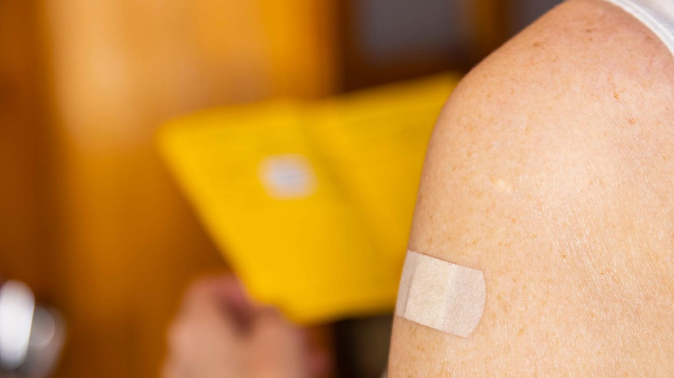 Eine Person hält ihren Impfpass (Symbolbild): Hausärzte erleben einen großen Ansturm auf ihr Impfangebot.