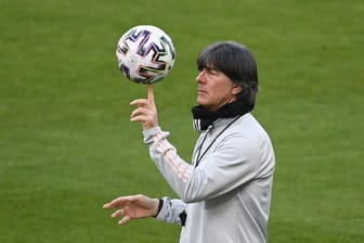 Wen nimmt Bundestrainer Joachim Löw mit zur EM?.