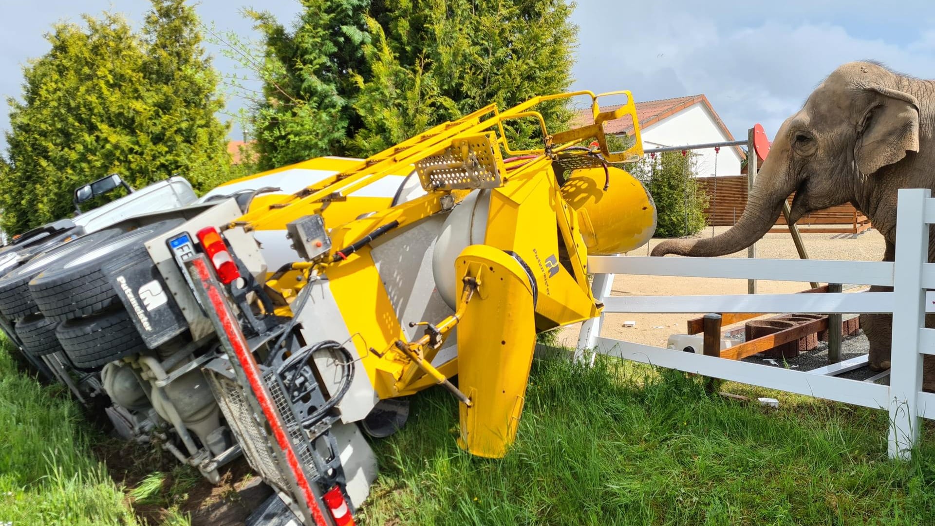 Elefantin Carla aus dem Wille-Kinderzoo in Haslach (Landkreis Ansbach) schnuppert an einem Betonmischer: Dieser war zuvor von der Straße abgekommen und in den Zaun gekracht.