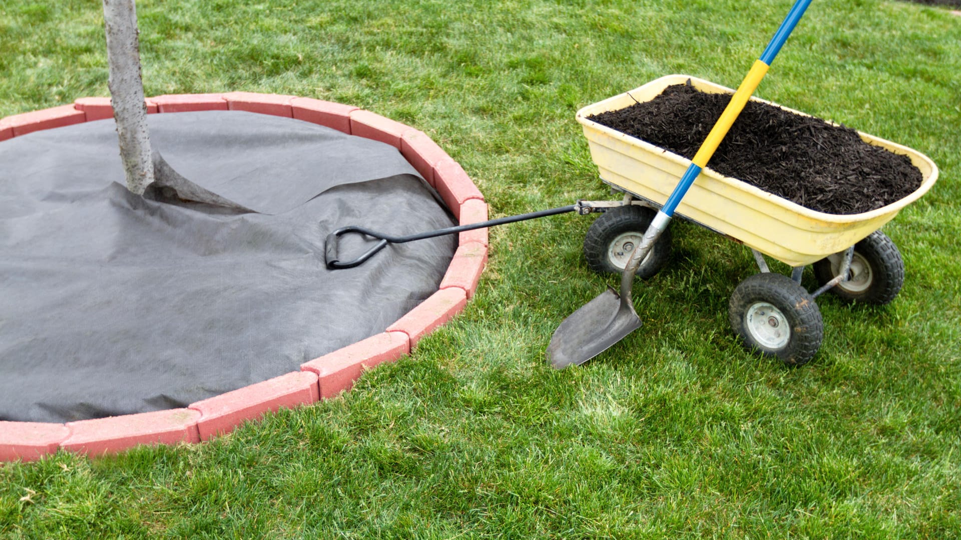 Die besten Unkrautvliese für den Garten.