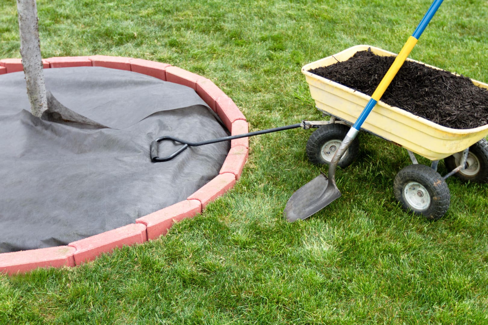 Die besten Unkrautvliese für den Garten.