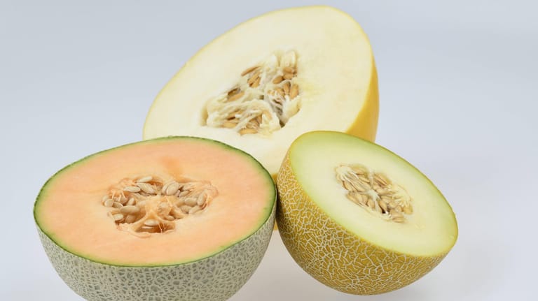 Cantaloupemelone, Honigmelone, Galiamelone (von links nach rechts): Die Galiamelone ähnelt äußerlich der Cantaloupemelone, ihr Fruchtfleisch hat hingegen eine ähnliche Farbe wie das der Honigmelone.