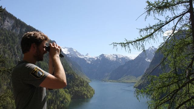 Blick über den Königssee im Nationalpark Berchtesgaden.