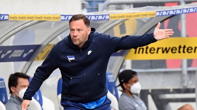 Hertha-Trainer Pal Dardai hat mit den Berlinern die Klasse gehalten.
