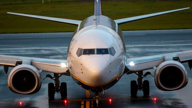 Das Ryanair-Flugzeug bei der Landung in Vilnius.