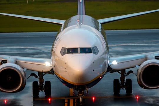 Das Ryanair-Flugzeug bei der Landung in Vilnius.