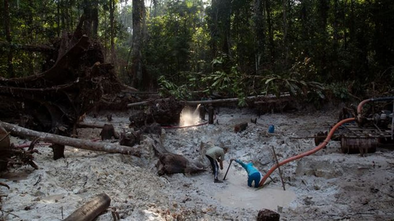 Einem Bericht zufolge zerstört der illegale Abbau von Gold zunehmend Indigenen-Gebiete im Norden Brasiliens.