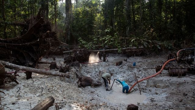 Einem Bericht zufolge zerstört der illegale Abbau von Gold zunehmend Indigenen-Gebiete im Norden Brasiliens. Einem Bericht zufolge zerstört der illegale Abbau von Gold zunehmend Indigenen-Gebiete im Norden Brasiliens.