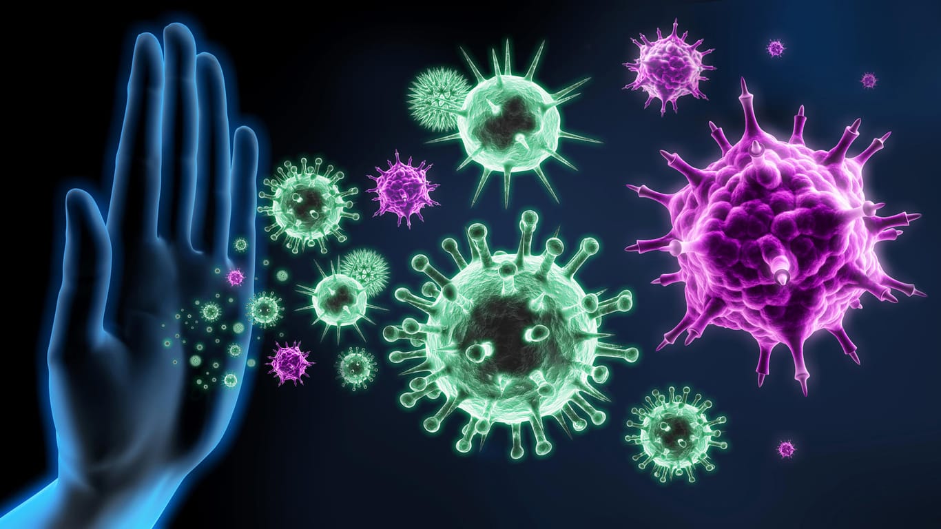 Symbolische Darstellung des Immunsystems: Die körpereigene Abwehr schützt davor, dass Krankheitserreger wie Bakterien, Viren oder Pilze im Körper Schaden anrichten.