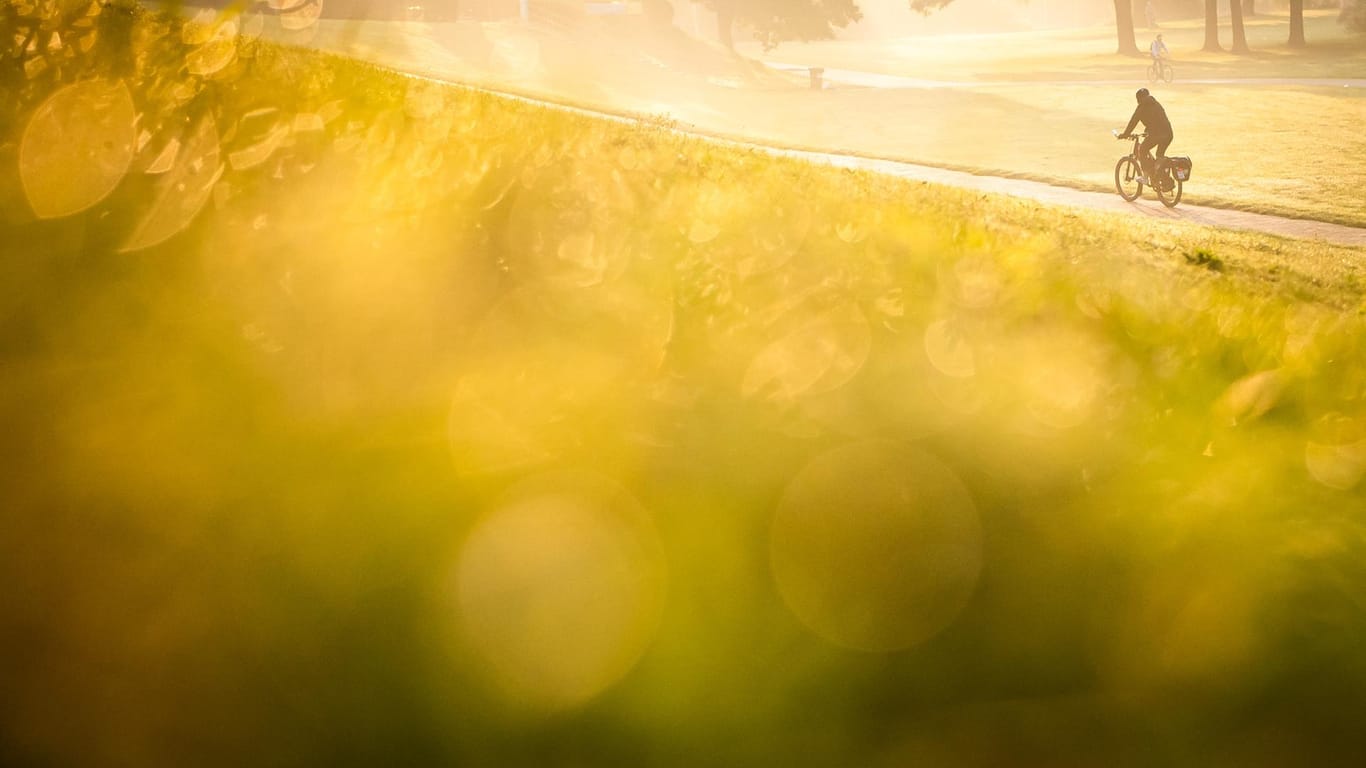 Ein Fahrradfahrer fährt am frühen Morgen über den Osterdeich (Archivbild): Im Norden sind Fahrräder am beliebtesten.