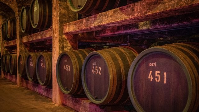 Fässer mit Wein lagern im Bremer Fasskeller (Archivbild): Der Wein wird in einer Live-Auktion versteigert. Fässer mit Wein lagern im Bremer Fasskeller (Archivbild): Der Wein wird in einer Live-Auktion versteigert.