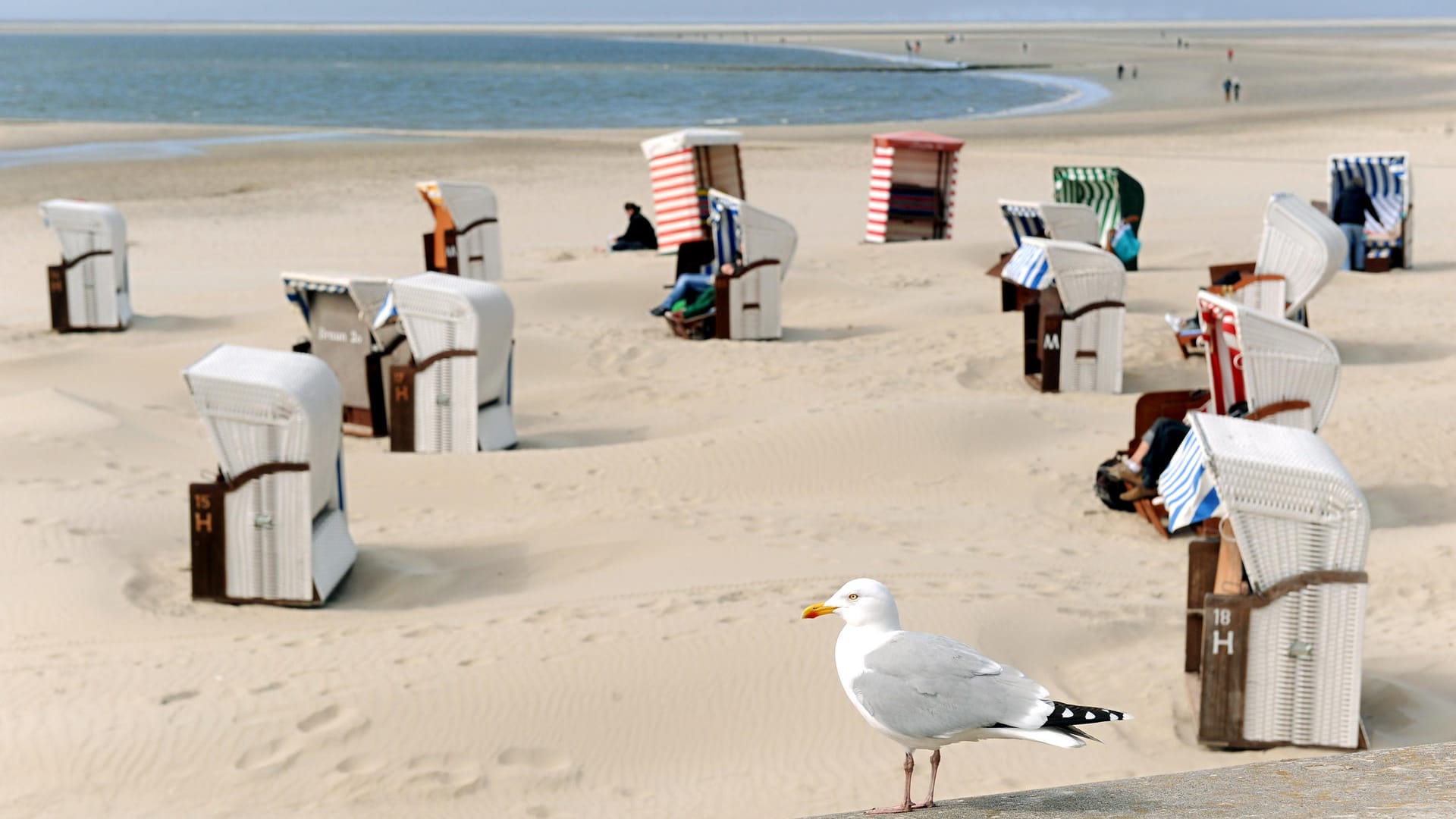 Strandkörbe auf Borkum: Borkum ist die größte und westlichste der Ostfriesischen Inseln und liegt etwa zwei Fährstunden von Emden auf dem Festland entfernt.