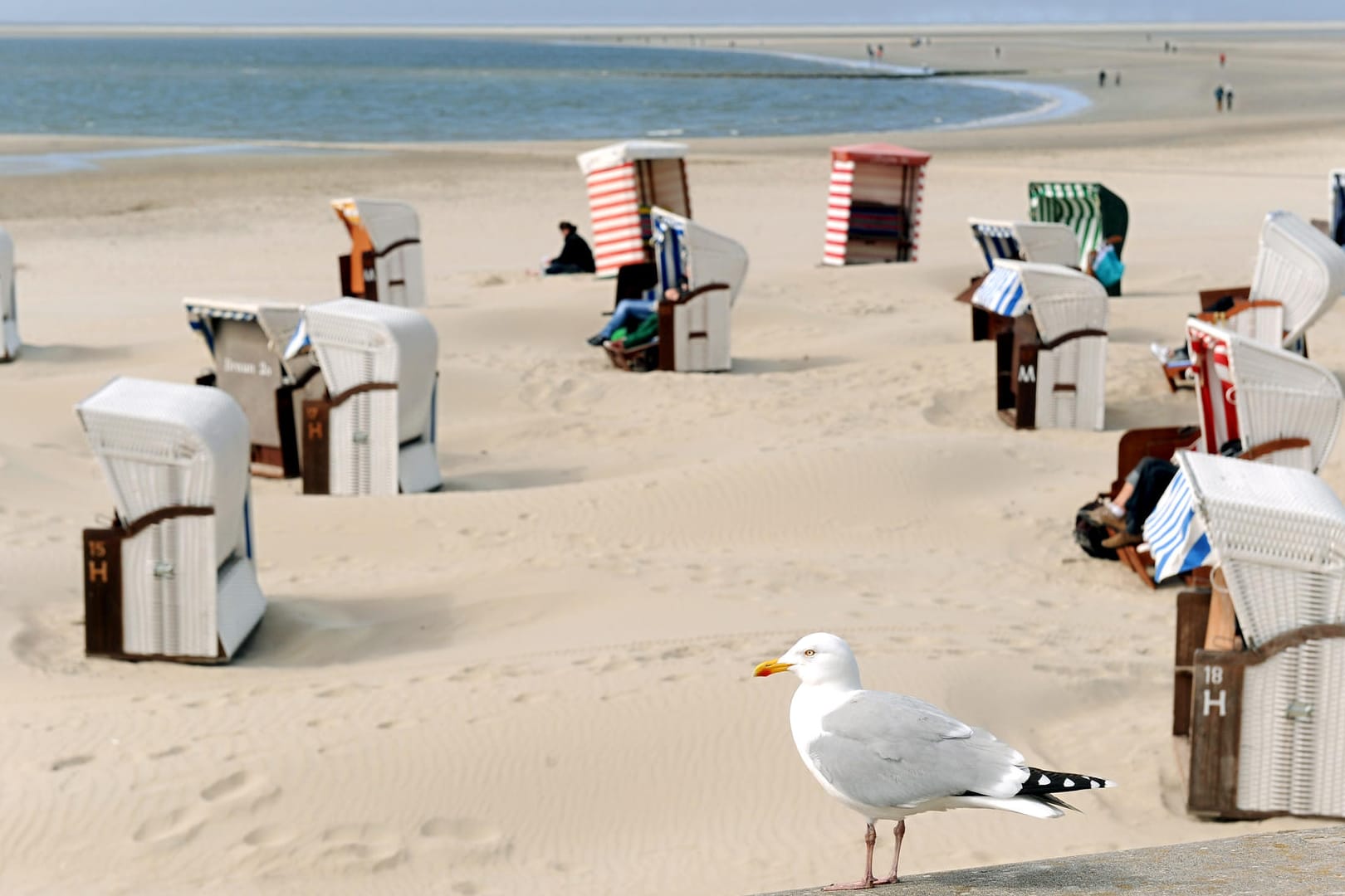 Strandkörbe auf Borkum: Borkum ist die größte und westlichste der Ostfriesischen Inseln und liegt etwa zwei Fährstunden von Emden auf dem Festland entfernt.