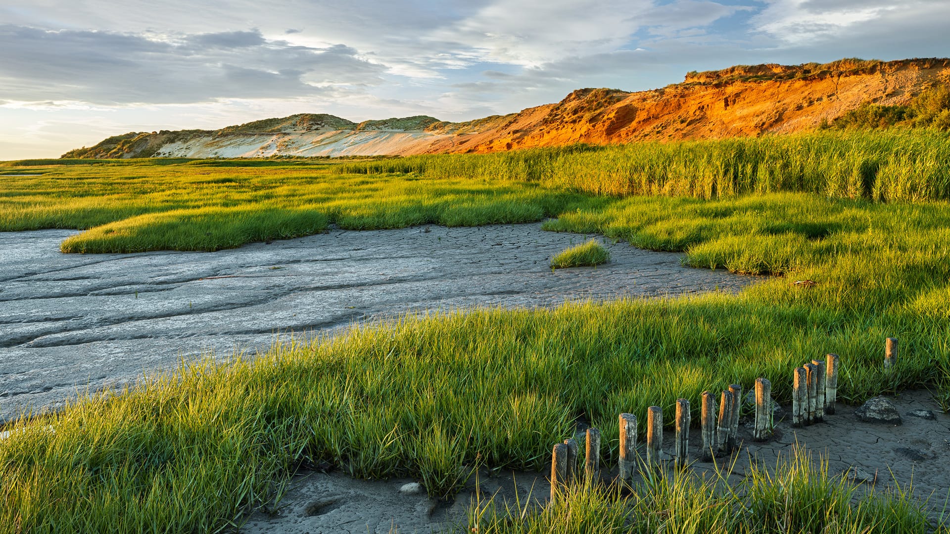 Wilde Landschaft: In betörenden Naturfarben erstrahlt das Morsumer Kliff auf Sylt.