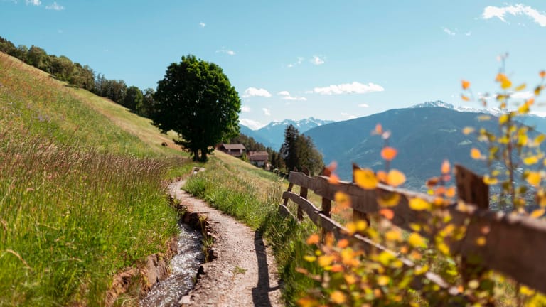 Schenner Waalweg: Auf einer Wanderung kann die Natur Südtirols entdeckt werden.