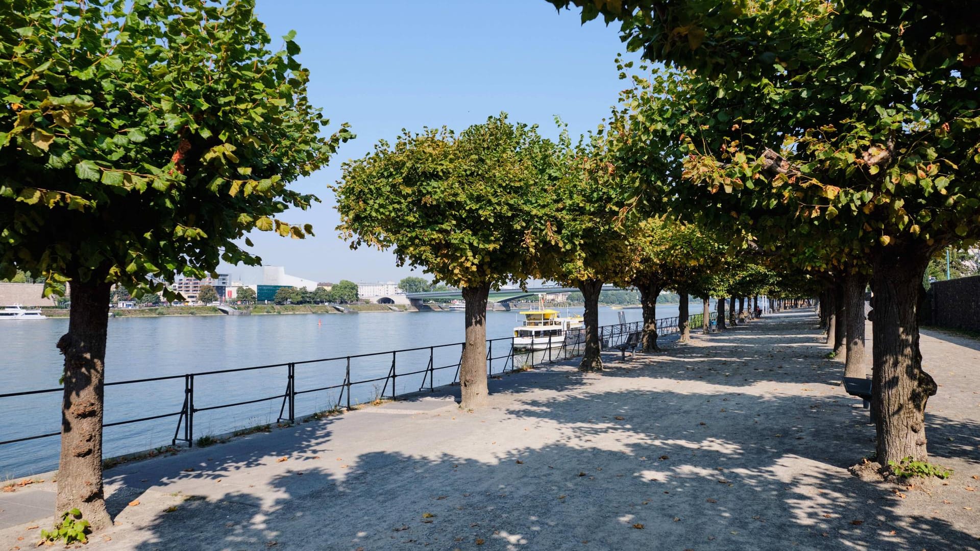 Rheinpromenade in Bonn: 40 Fotografien eines Künstlers hingen hier ursprünglich, bis Unbekannte sie beschädigt hatten. Rheinpromenade in Bonn: 40 Fotografien eines Künstlers hingen hier ursprünglich, bis Unbekannte sie beschädigt hatten.