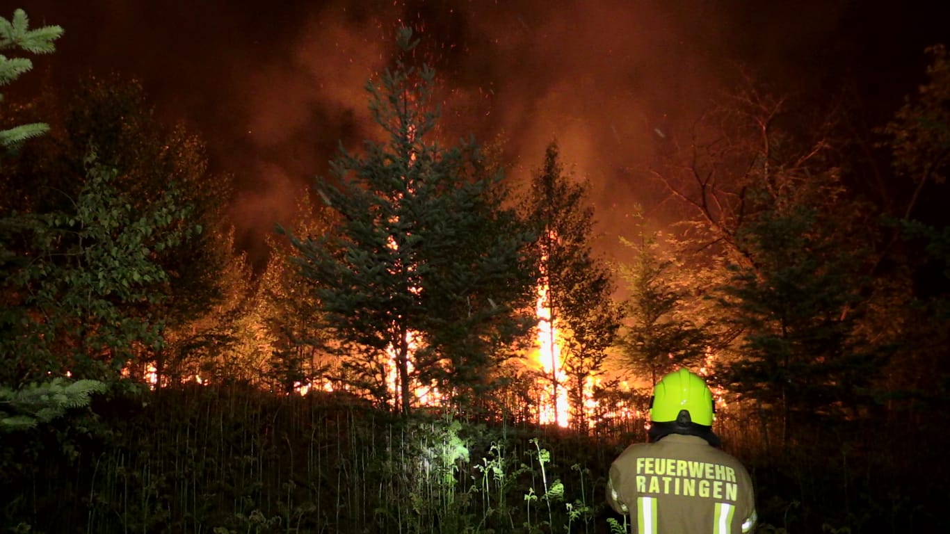 Feuer in einem Waldstück in Ratingen: Anwohner meldeten eine starke Rauchentwicklung.