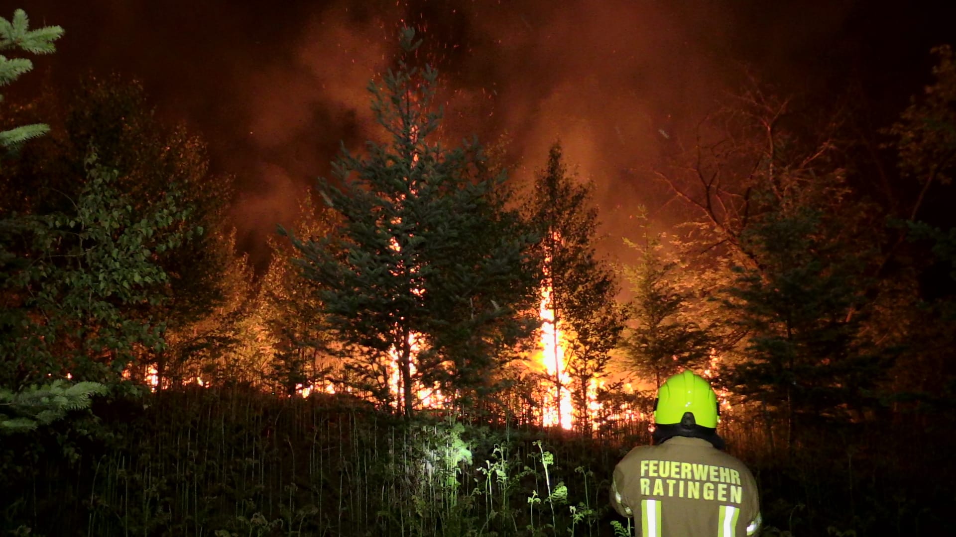 Feuer in einem Waldstück in Ratingen: Anwohner meldeten eine starke Rauchentwicklung. Feuer in einem Waldstück in Ratingen: Anwohner meldeten eine starke Rauchentwicklung.