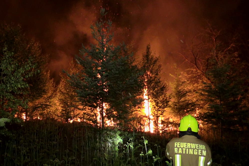 Feuer in einem Waldstück in Ratingen: Anwohner meldeten eine starke Rauchentwicklung.