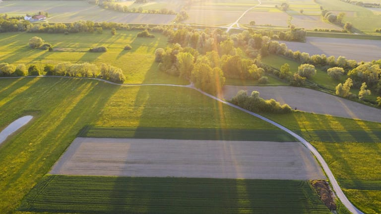 Feld in Bayern (Symbolbild): Ein Landwirt fand eine Leiche.