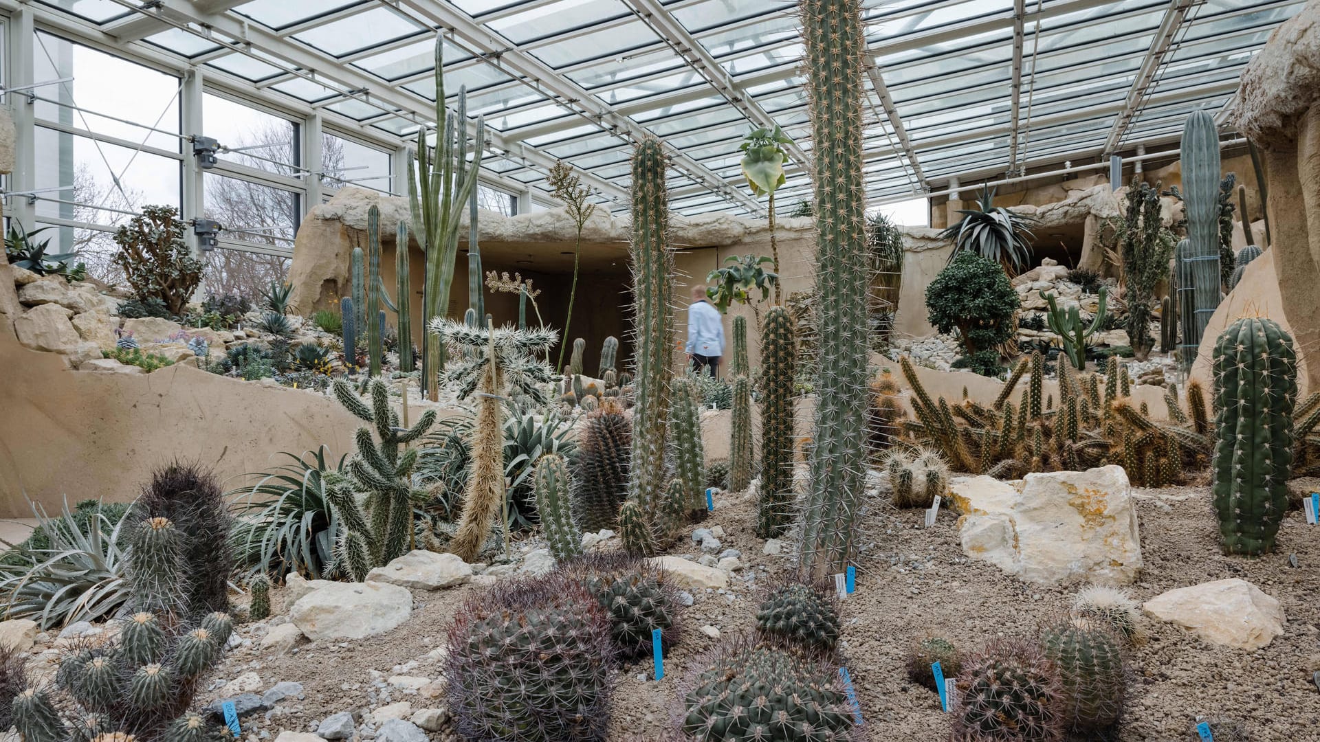 Blick in das "Danakil"-Haus im Egapark (Archivbild): Ab Donnerstag kann es endlich von Besuchern besichtigt werden.