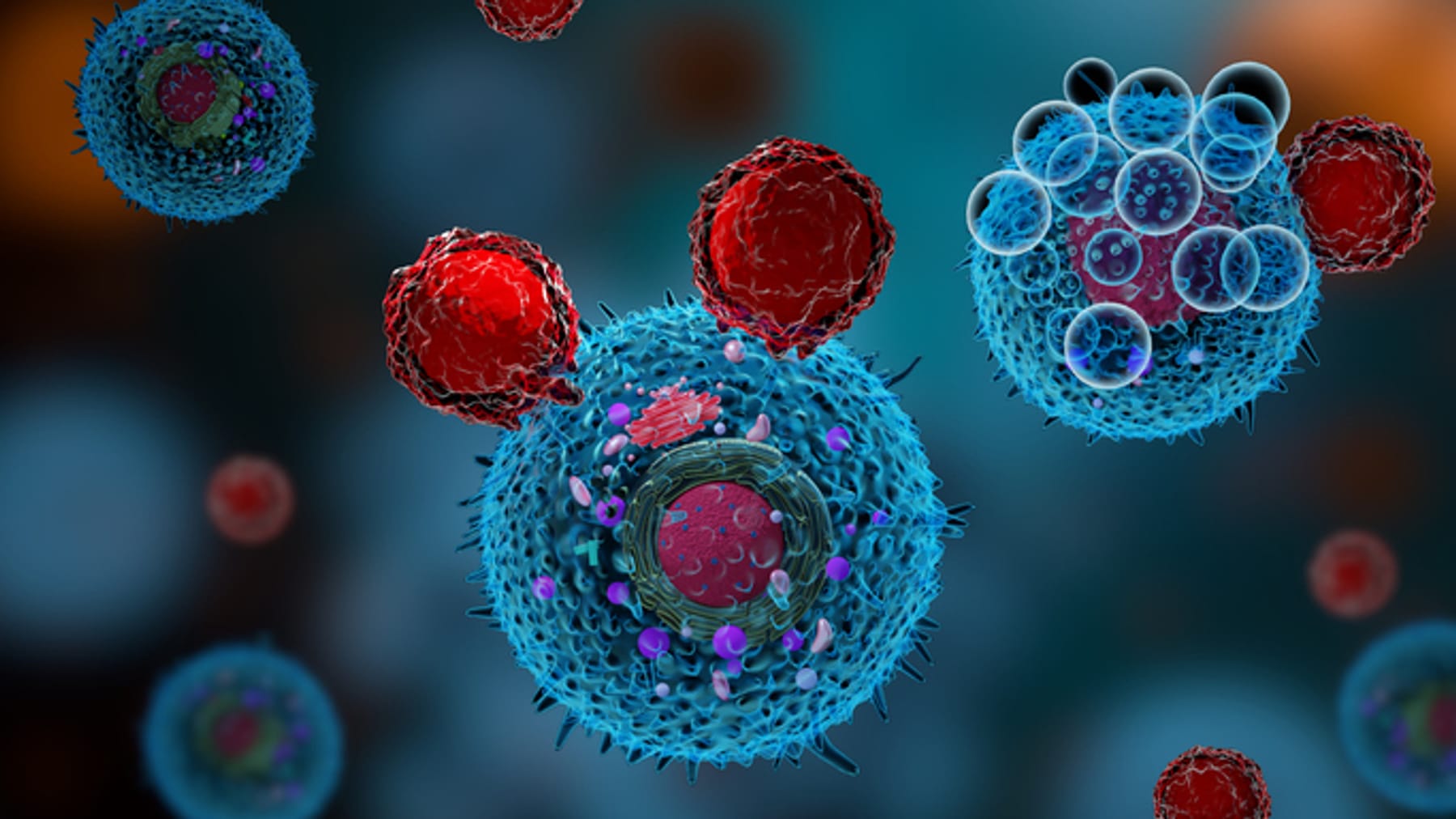 This is the secret of the T-cells - News Directory 3