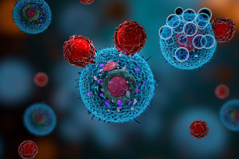 Zytotoxische T-Zellen greifen unter anderem auch Tumorzellen an. Sie aktivieren bestimmte Botenstoffe und Proteine, die für die Zerstörung der Krebszellen zuständig sind.