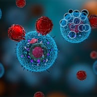 3-D-Illustration einer Abwehrreaktion des Immunsystems: Krebszellen (blau) werden von T-Zellen (rot) angegriffen.