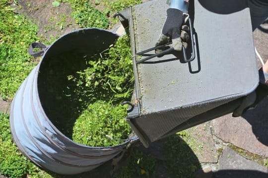 Frisch gemähtes Gras ist im Garten vielseitig einsetzbar - Rasenschnitt eignet sich zum Beispiel zum Mulchen.