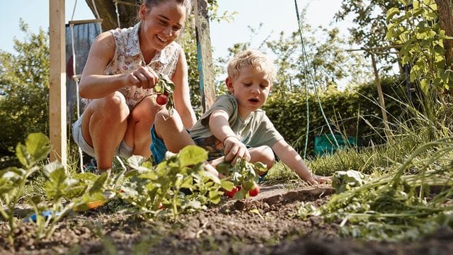 Glücksmomente: Gemeinsam im Beet wühlen, den Pflanzen beim Wachsen zusehen und am Ende auch noch etwas ernten.