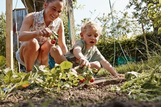 Glücksmomente: Gemeinsam im Beet wühlen, den Pflanzen beim Wachsen zusehen und am Ende auch noch etwas ernten.
