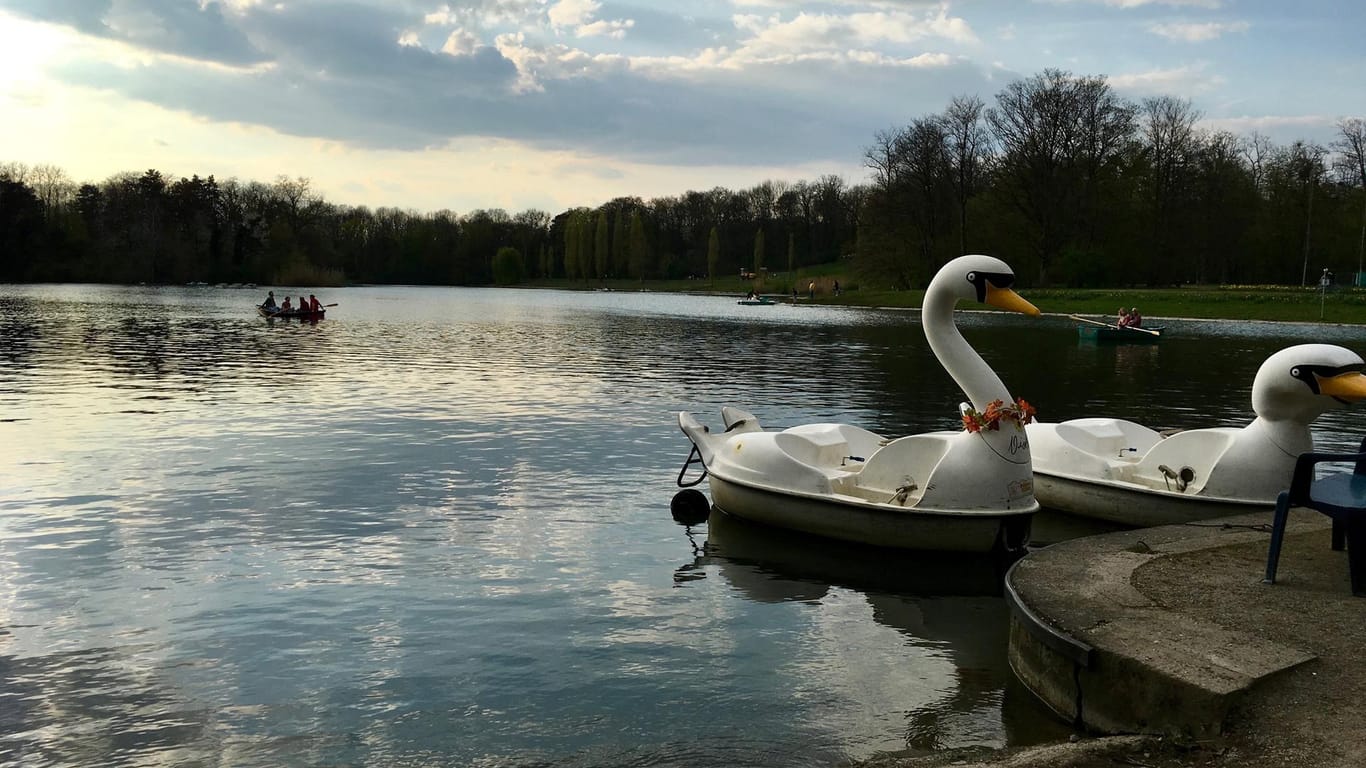 Boote auf dem Kalscheurer Weiher: Hier kann man nicht nur Tretboot fahren, sondern auch den Sonnenuntergang beobachten.