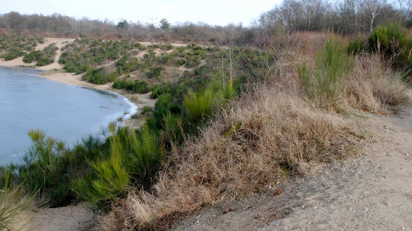 Das Naturschutzgebiet Thielenbruch: Die Dellbrücker Heide ist für naturverbundene Radler ein kleines Paradies.