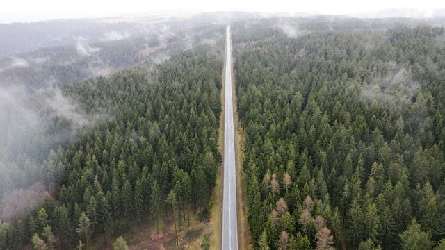 Der Thüringer Wald