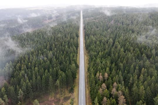 Der Thüringer Wald